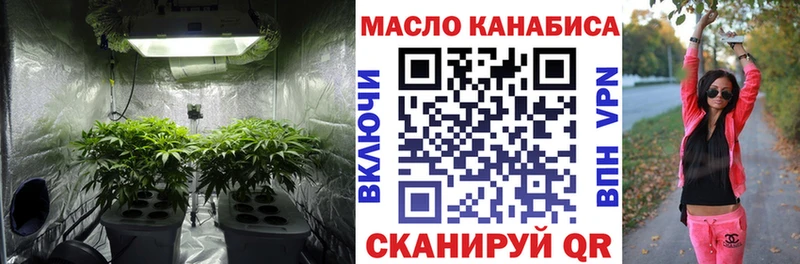 Купить закладки  Сертолово  ТГК Wax 