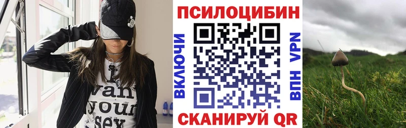 Купить где  Сертолово  Псилоцибиновые грибы прущие грибы 